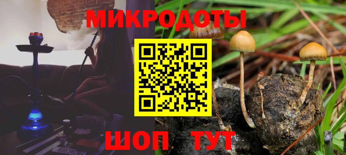 Галлюциногенные грибы Magic Shrooms  Галлюциногенные грибы GOLDEN TEACHER  Пенза  Вход с VPN 
